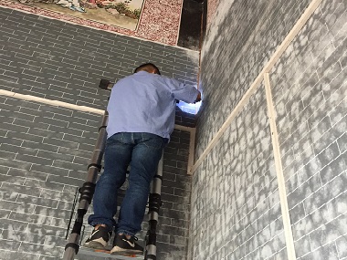 佛山预防白蚁机构灭白蚁是怎么收费的？