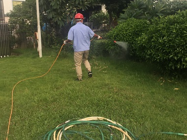 禅城除四害中心室外环境消杀蚊蝇虫害的方法