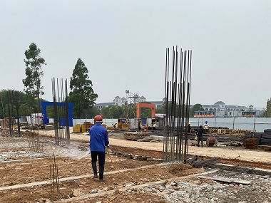 高明上门治白蚁站装修时防治白蚁的实用建议